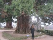 Марина Михайліченко фотография #21 (источник - https://vk.com/id12483908)