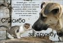 Марія Корівник фотография #33 (источник - https://vk.com/id236589275)