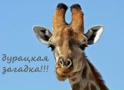 Фотография Глухова Дениса