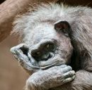 Фотография Данилова Евгения