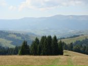 Маха Дімітрова фотография #10 (источник - https://vk.com/id12887518)