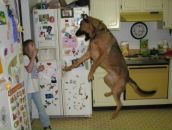 Вітя Меліка фотография #44 (источник - https://vk.com/id67286737)