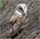 Мері Ничипорчук фотография #4 (источник - https://vk.com/id25679675)