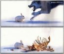 Сергій Кузьмак фотография #21 (источник - https://vk.com/id26351404)