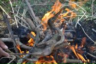 Вадим Сундаков фотография #21 (источник - https://vk.com/id3582450)