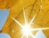 Іра Матус-Мельничук фотография #49 (источник - https://vk.com/id46208766)