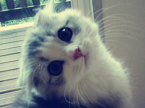 №9, Настя Карачевцева №9, Настя Карачевцева