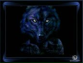 Фотография Сериковой Елены