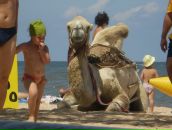 Андрей Марченко фотография #8 (источник - https://vk.com/id2327790)