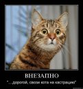 Андрій Котович фотография #36 (источник - https://vk.com/id3613472)