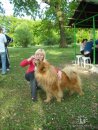 Ірина Ірина фотография #40 (источник - https://vk.com/id31038684)