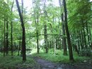 Діма Хвостенко фотография #26 (источник - https://vk.com/id41549382)