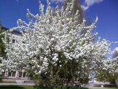 Фотография Салимгараевой Елены