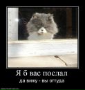 Світлана Яремко фотография #23 (источник - https://vk.com/id259389309)