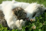 Фотография Валитовой-Шабарчиной Ксении