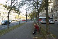 Софья Чижова фотография #26 (источник - https://vk.com/id1782672)