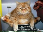 Андрій Чуба фотография #27 (источник - https://vk.com/id12280101)