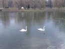 Ігор Марич фотография #50 (источник - https://vk.com/id56932929)