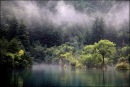 Олексій Лапро фотография #1