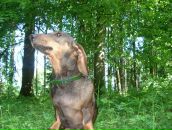 Віталій Папіж фотография #43 (источник - https://vk.com/id25237547)