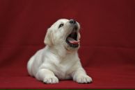 Фотография Екимовского Алексея