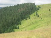 Юрій Осіпчук фотография #47 (источник - https://vk.com/id1744459)