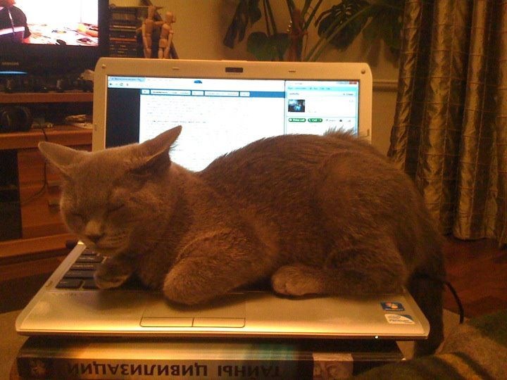 Евгений Упитер фотография #34