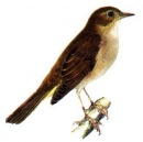 Фотография Ступиной Ольги