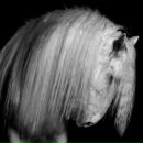 Фотография Мешалкиной Валюшки