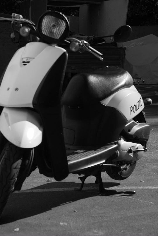 Las Vages фотография #24