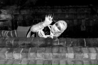 Фотография Малик Мари