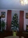 Віталік Демид фотография #7 (источник - https://vk.com/id160906057)