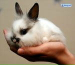 Фотография Мазуро Натальи