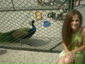 Вікторія Скіра фотография #20 (источник - https://vk.com/id105809773)