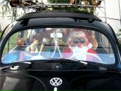 Slava Teslev фотография #50 (источник - https://vk.com/id20049574)