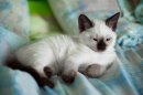 Фотография Ивановой Ирины