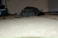 Фотография Путиловой Юлии