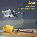 Фотография Суздаловой Алены