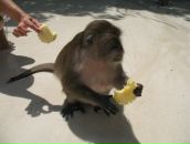 Фотография Миа Натальи