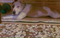 Діма Побережець фотография #7 (источник - https://vk.com/id64264045)