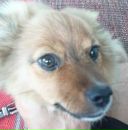 Сергій Смирно фотография #10 (источник - https://vk.com/id15216353)