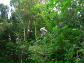 Валерий Иванов фотография #12 (источник - https://vk.com/id3000426)