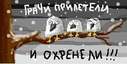 Фотография Петрова Дениса