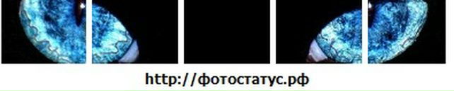 Олексій Гірінков фотография #23 (источник - https://vk.com/id18474327)