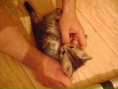 Полина Иванова фотография #5 (источник - https://vk.com/id402498)