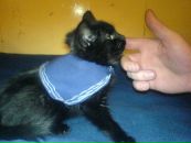 Фотография Степанова Максима