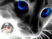 Фотография Калугиной Анастасии