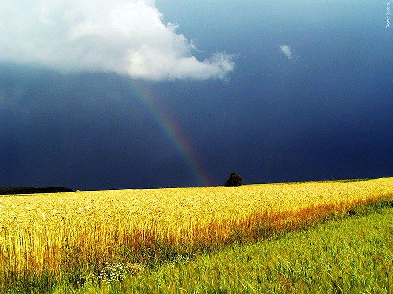 Наташа Средникова фотография #31