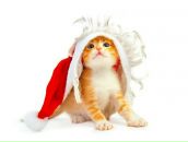 Иван Иванов фотография #14 (источник - https://vk.com/id1415608)