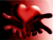 Фотография Гришенкова Андрея